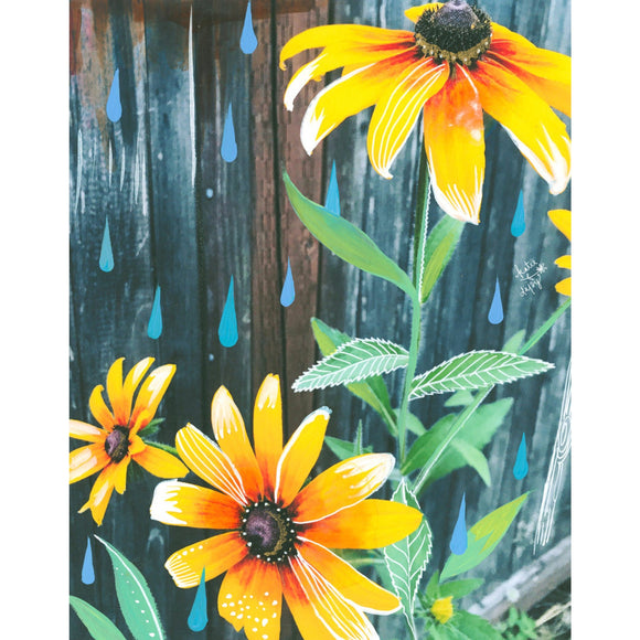 Black Eyed Susan Art Print II