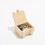 Box of Crystals + Stones - Rock Collector's Treasure Chest