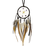 Vision Seeker Dream Catchers