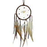 Vision Seeker Dream Catchers