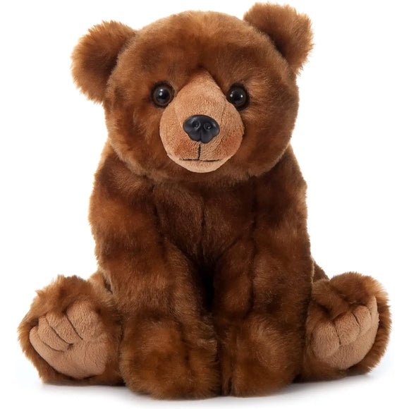 Brown Bear 12
