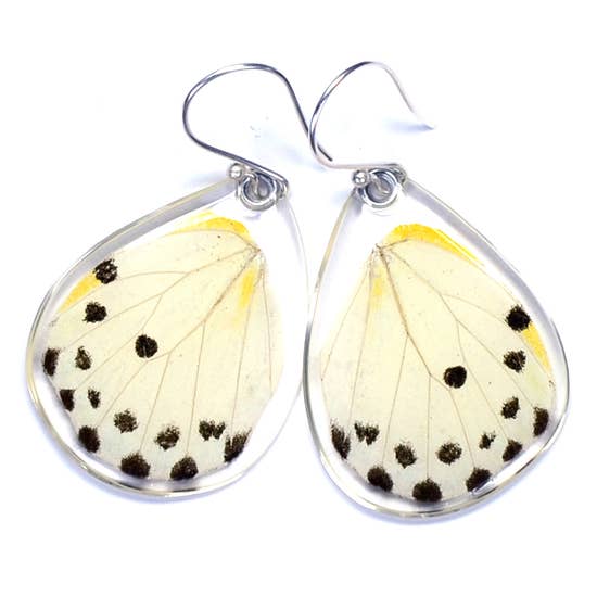 Belenois Calypso Paper White Butterfly Earrings