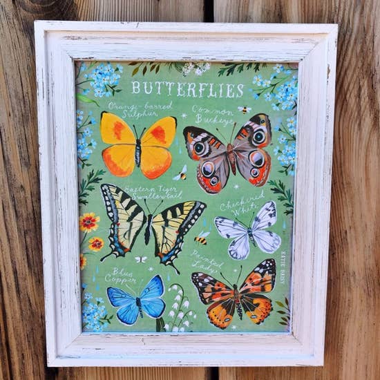 Butterfly ID Chart Art Print
