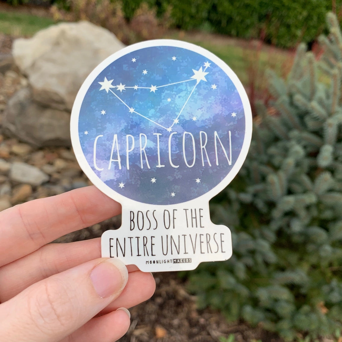 Funny Zodiac Astrology Stickers