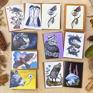 Cascades: Greeting Card Boxed Set