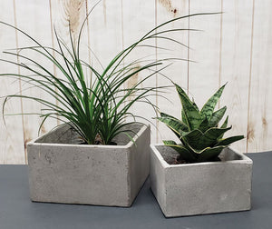 Cement Cube Planters - Set of 2
