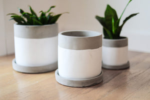 Essential Cylinders - Cement on White - Set of 3
