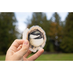 Chickadee in Cavity 3" Medium Clear Vinyl Sticker