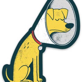 Cone of Shame Sticker