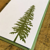 Conifer Letterpress Gift Enclosure Card