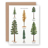 Conifers of the Pacific Northwest Everyday Greeting Cards