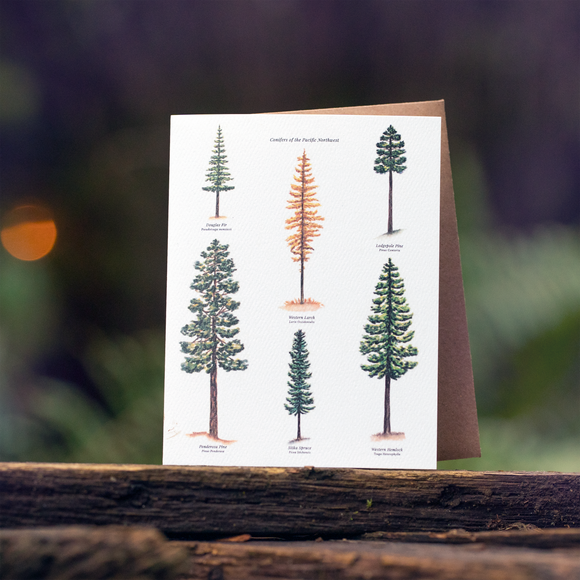 Conifers of the Pacific Northwest Everyday Greeting Cards