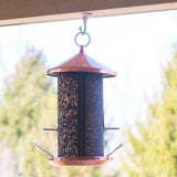 Copper Finish Mesh Metal Dual Nut and Seed Bird Feeder