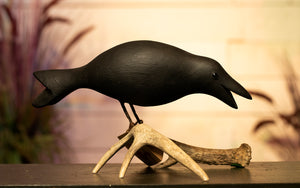 Crow on Antler Hand Carved Decoy