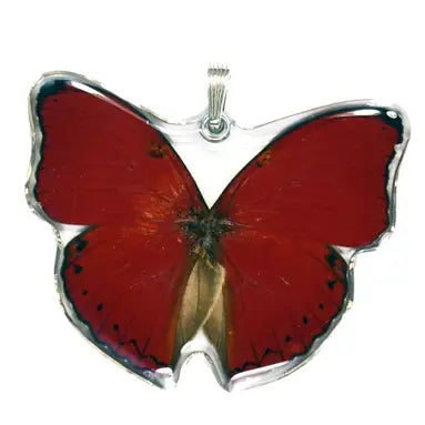 Cymothoe Sangaris Venetian Red Glider Whole Butterfly Pendant