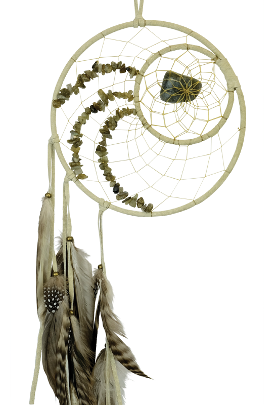 DCV44 - 6