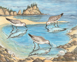 Dreams on the Salish Sea