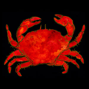 Dungeness Crab Coaster