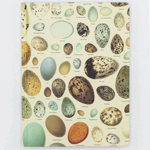 Eggs Hardcover Dot Grid