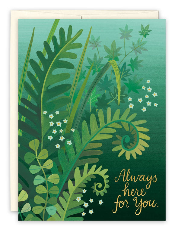 Ferns Sympathy Cards
