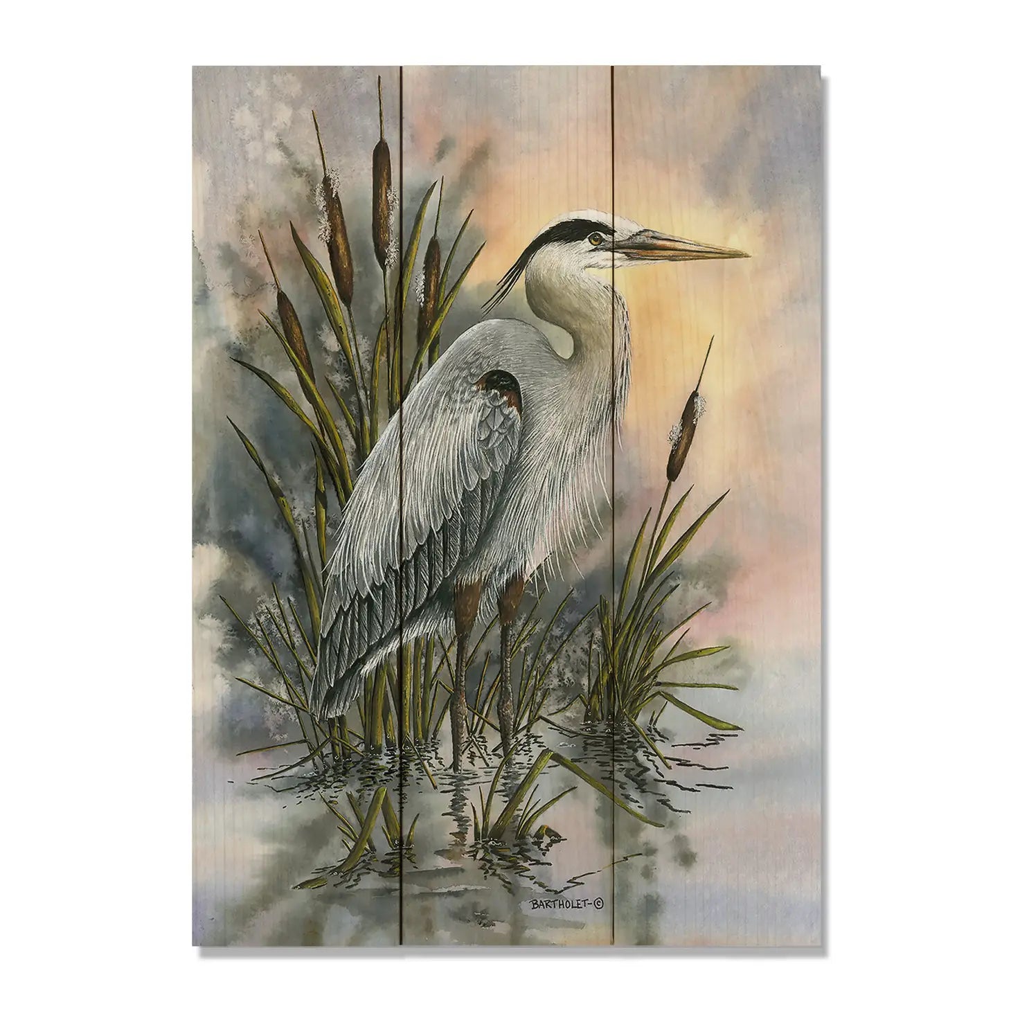 First Light Heron