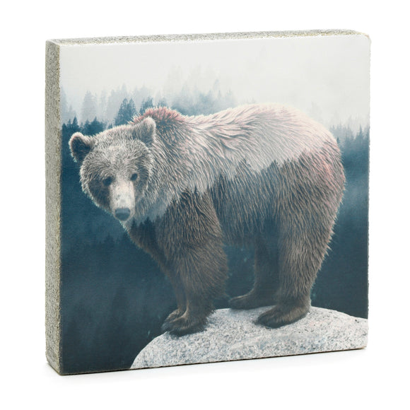 Forest Bear - Art Block