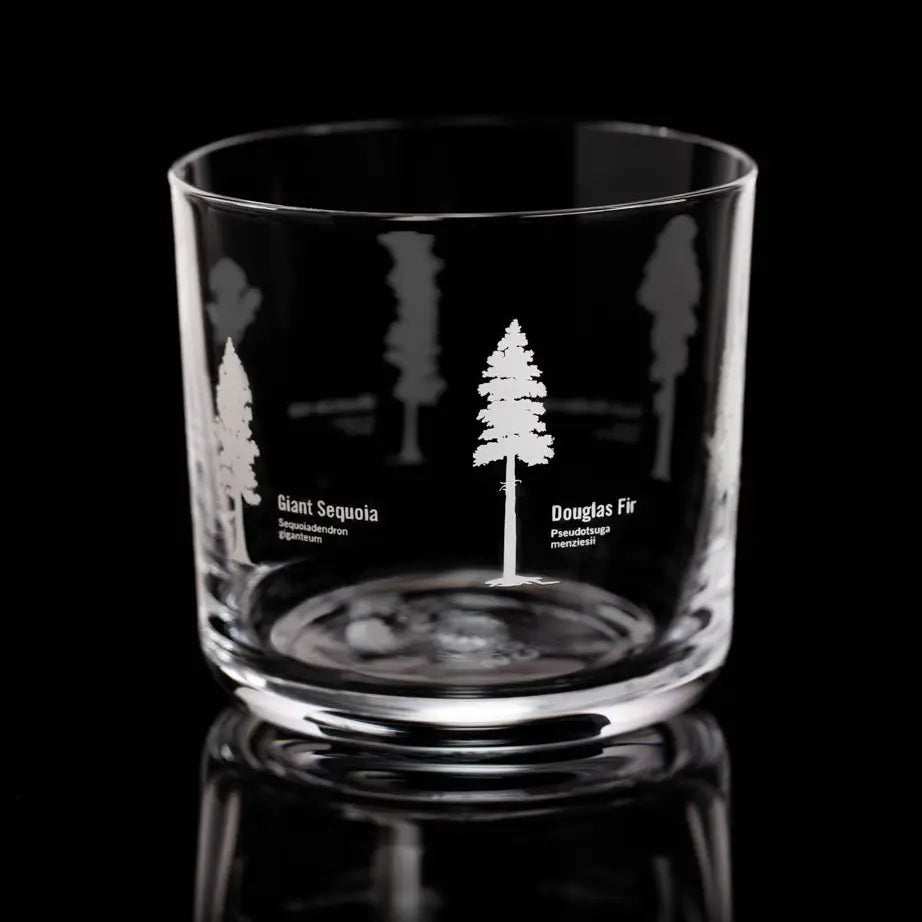 Forest Giants Whiskey Glass  Gold Foil
