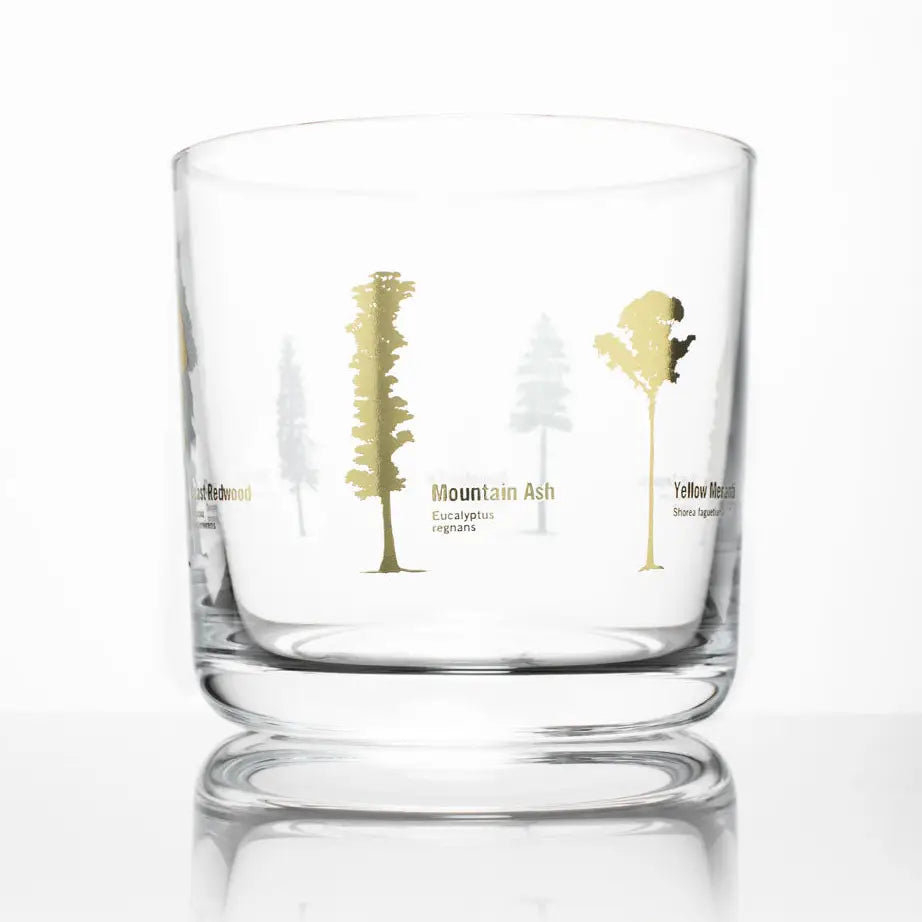 Forest Giants Whiskey Glass  Gold Foil