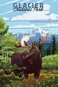 Glacier National Park, Montana - Moose & Mountain Landscape [12x18 Print]