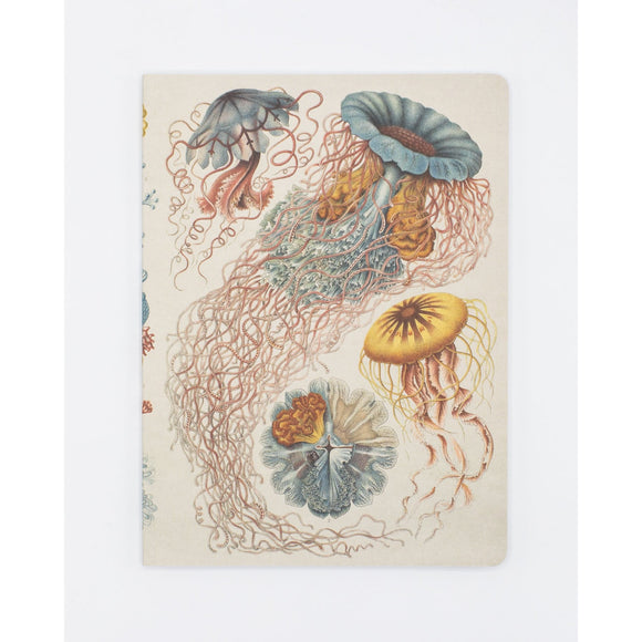 Haeckel Jellyfish Softcover