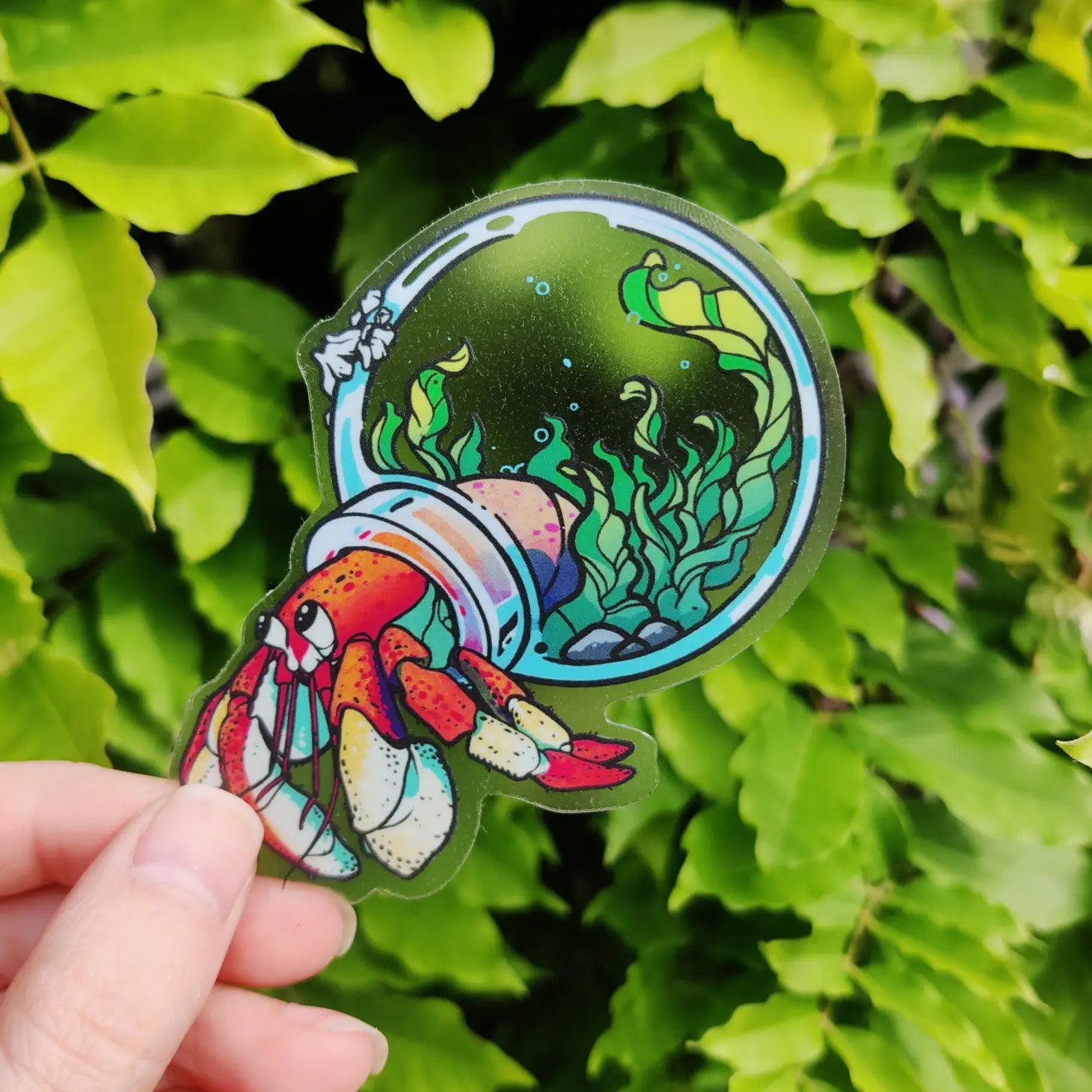 Hermit Crab - Clear Vinyl Sticker