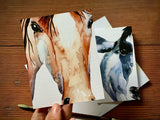 Horse Folding Card