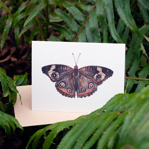 Common Buckeye Butterfly Card