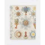 Haeckel Jellyfish Softcover