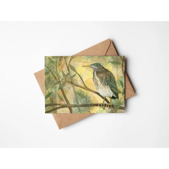 Juvenile Green Heron 5x7 Greeting Card