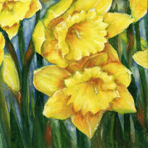 King Alfred Daffodils