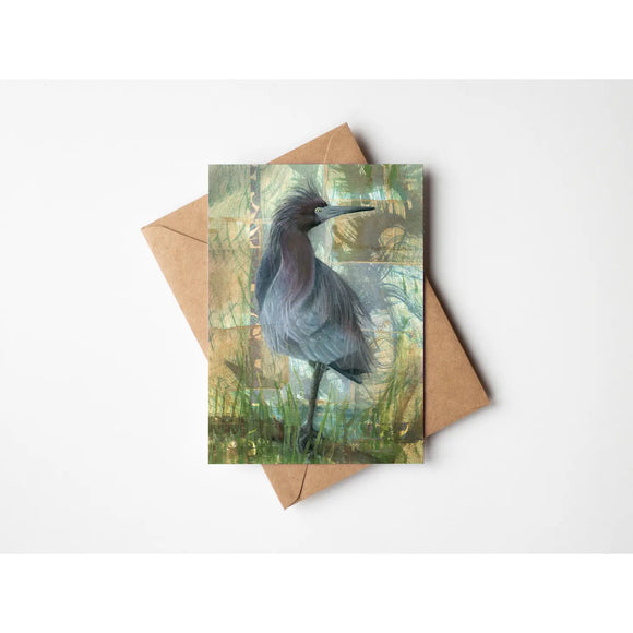 Little Blue Heron 5x7 Greeting Card