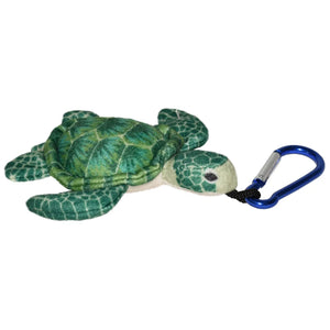 Living Ocean-Clip Green Sea Turtle
