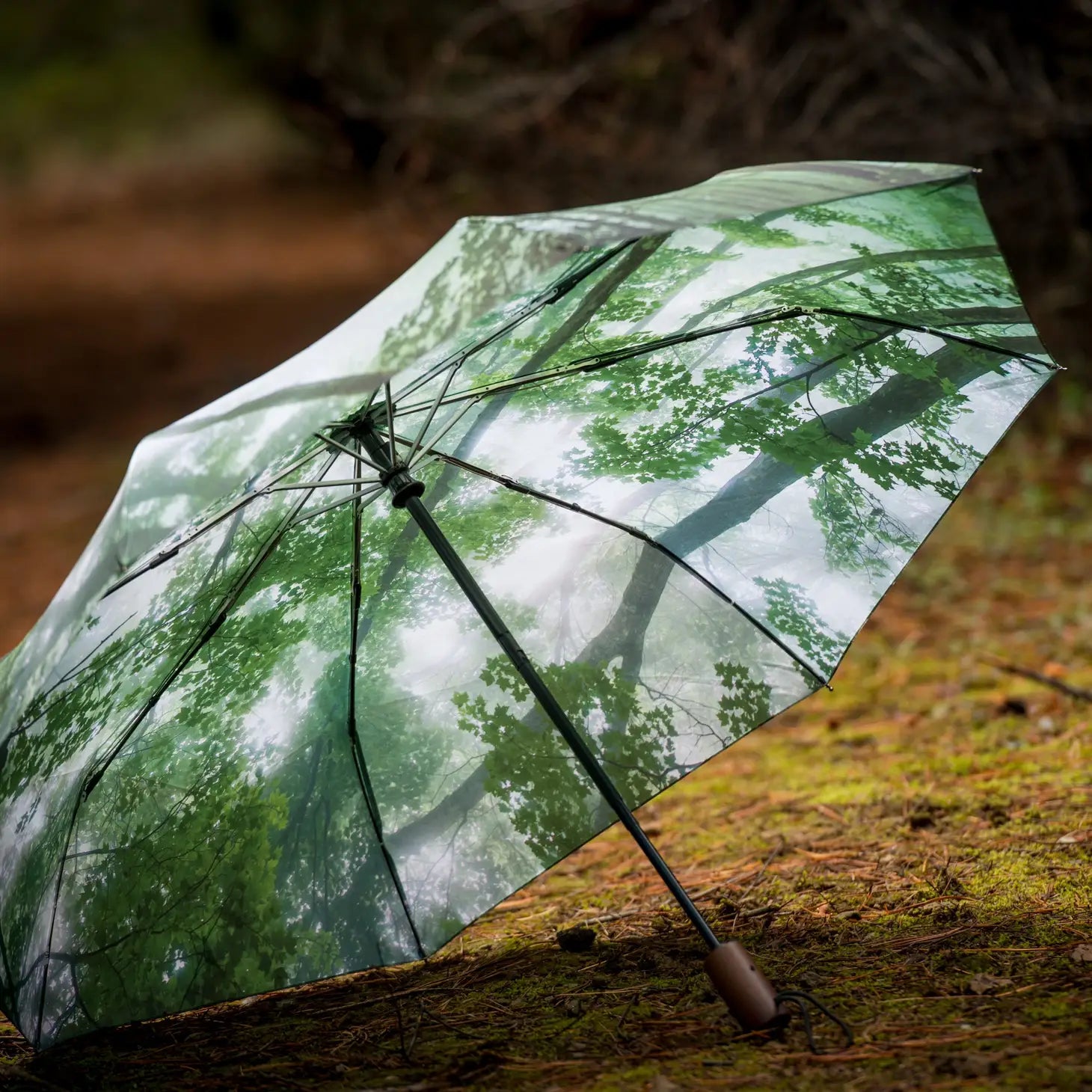 Misty Woods Umbrella - Small