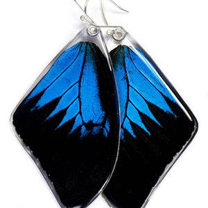 Mountain Blue Swallowtail Butterfly Earrings