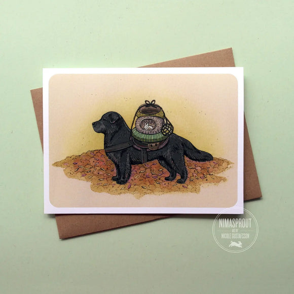 Newfoundland Pup Greeting Card