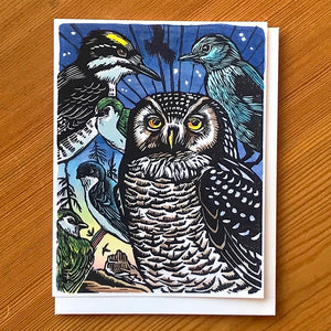 Northern Hawk Owl Card