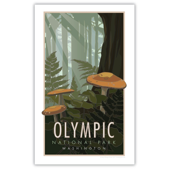 Olympic National Park Poster  11