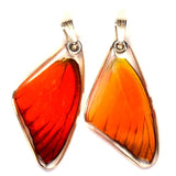 Appias Nero Orange Albatross Butterfly Earrings