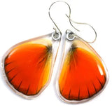 Appias Nero Orange Albatross Butterfly Earrings