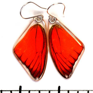 Orange Albatross Butterfly Earrings