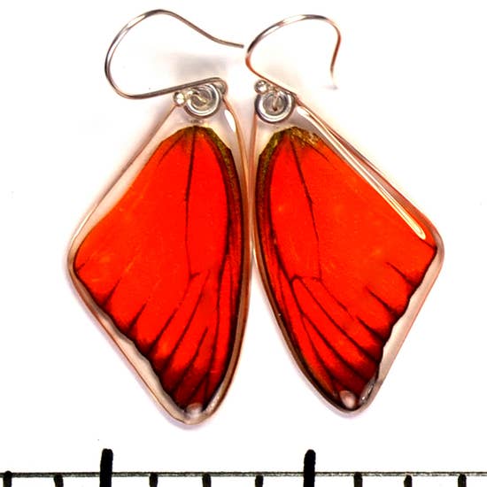 Orange Albatross Butterfly Earrings