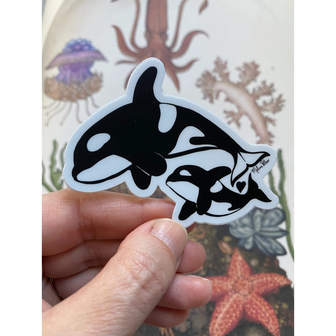 Orca Sticker