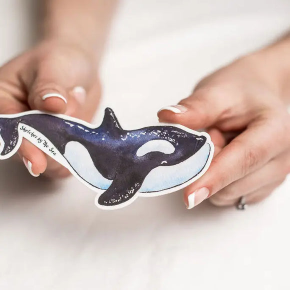Orca/Killer Whale Sticker