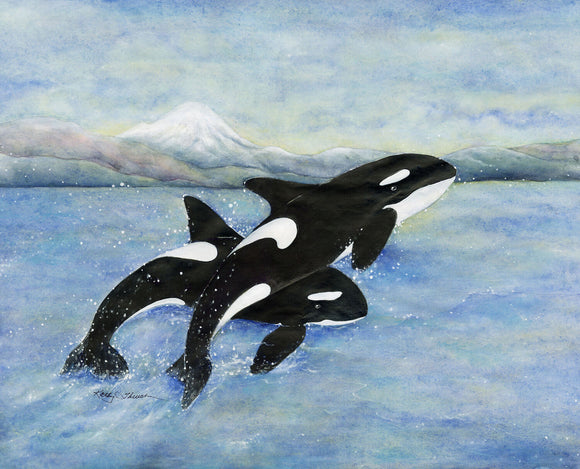 Orcas Jump for Joy